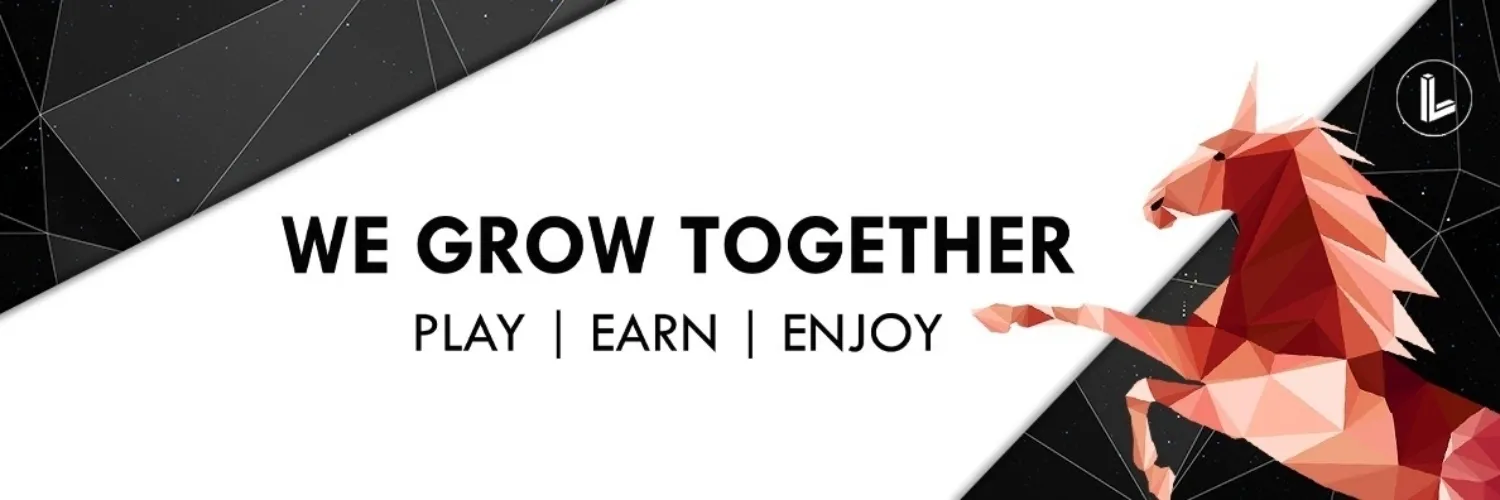 LIDOMA VISION ESPORT banner