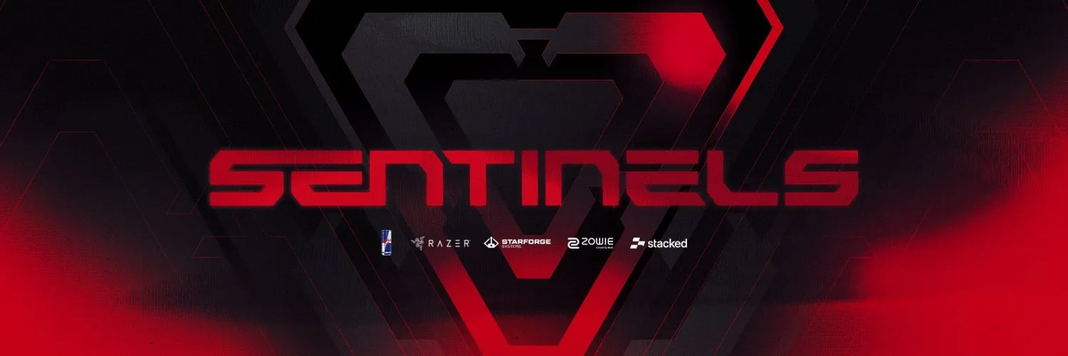 Sentinels banner