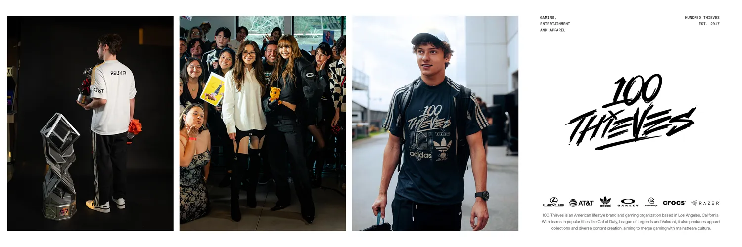 100 Thieves banner