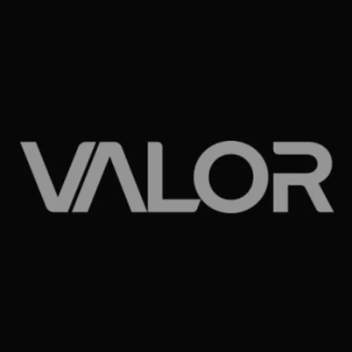 VALOR GAMING LLC logo