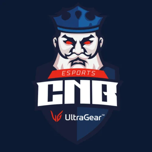 CNB ESPORTS logo