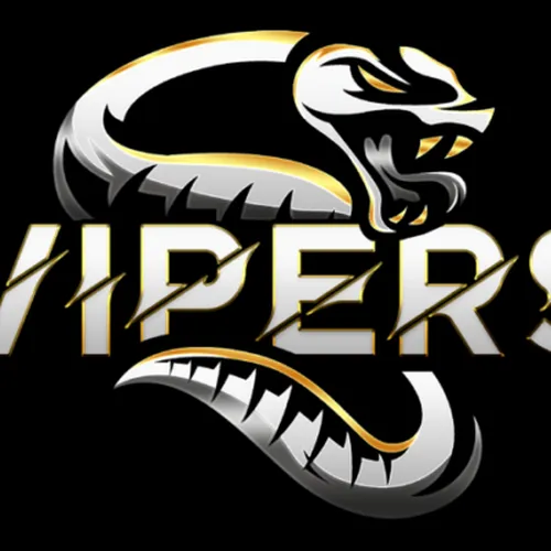 Vipers eSports logo