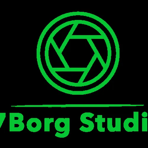 7Borg Studio logo