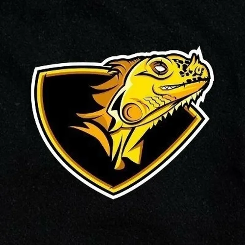 Bashful eSports logo