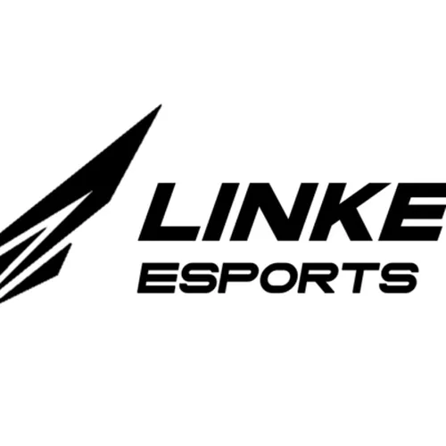 Linked Esports logo