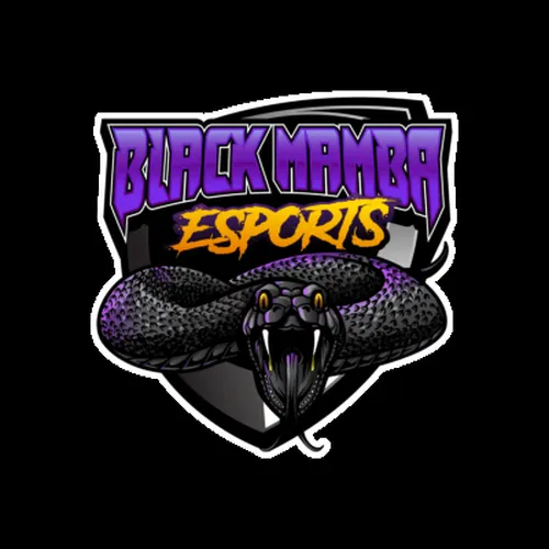 Black Mamba Esports logo