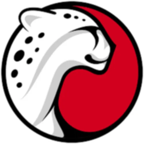Playtika logo