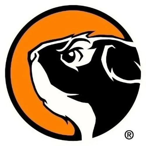 Streamline Studios logo