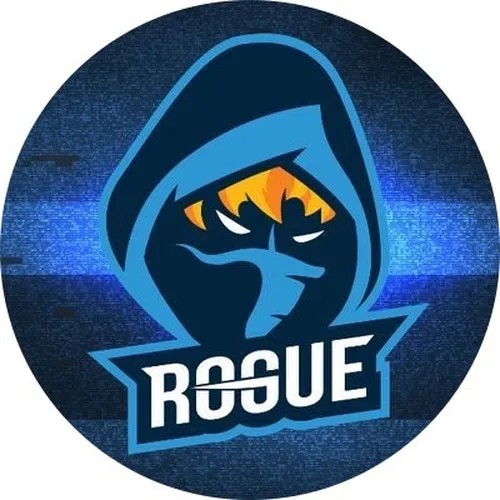 Team Rogue logo