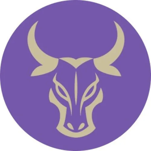 Mason City Minotaurs logo
