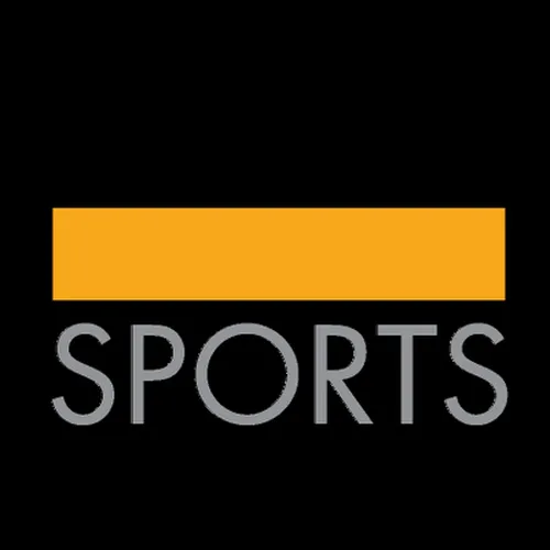 ONE Sports & Entertainment logo