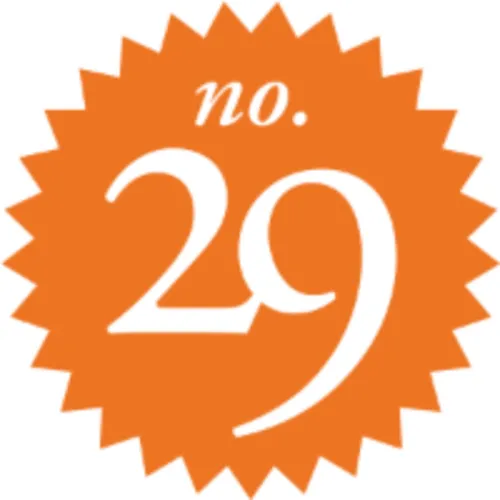 Number29 logo