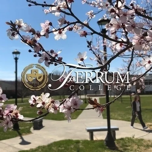 Ferrum College logo