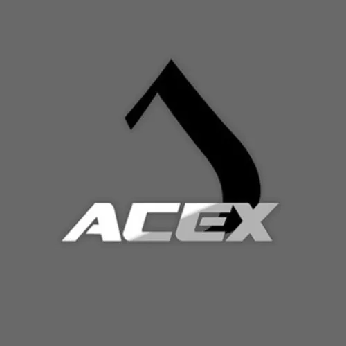 AceX Esports logo