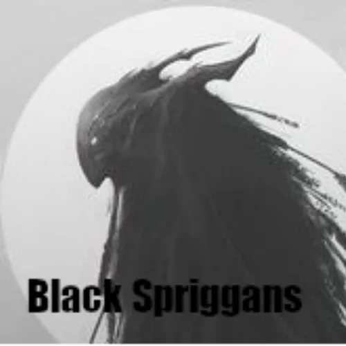 Black Spriggans logo