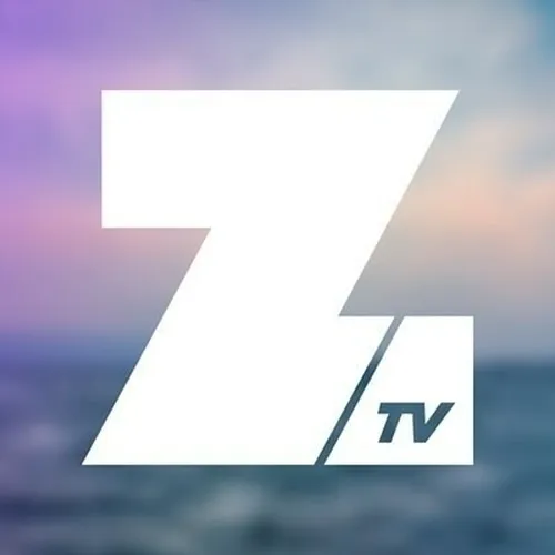 Zoomin logo