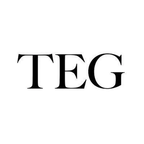 The Esports Guide logo