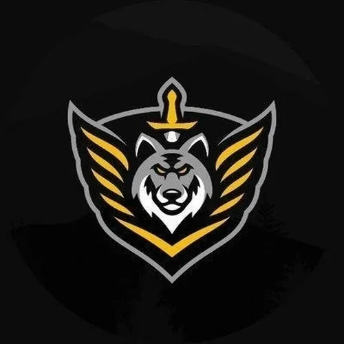 DUSK Combat Force logo