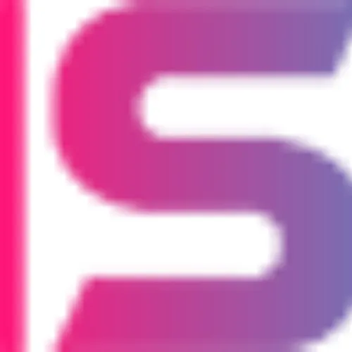 NSE logo