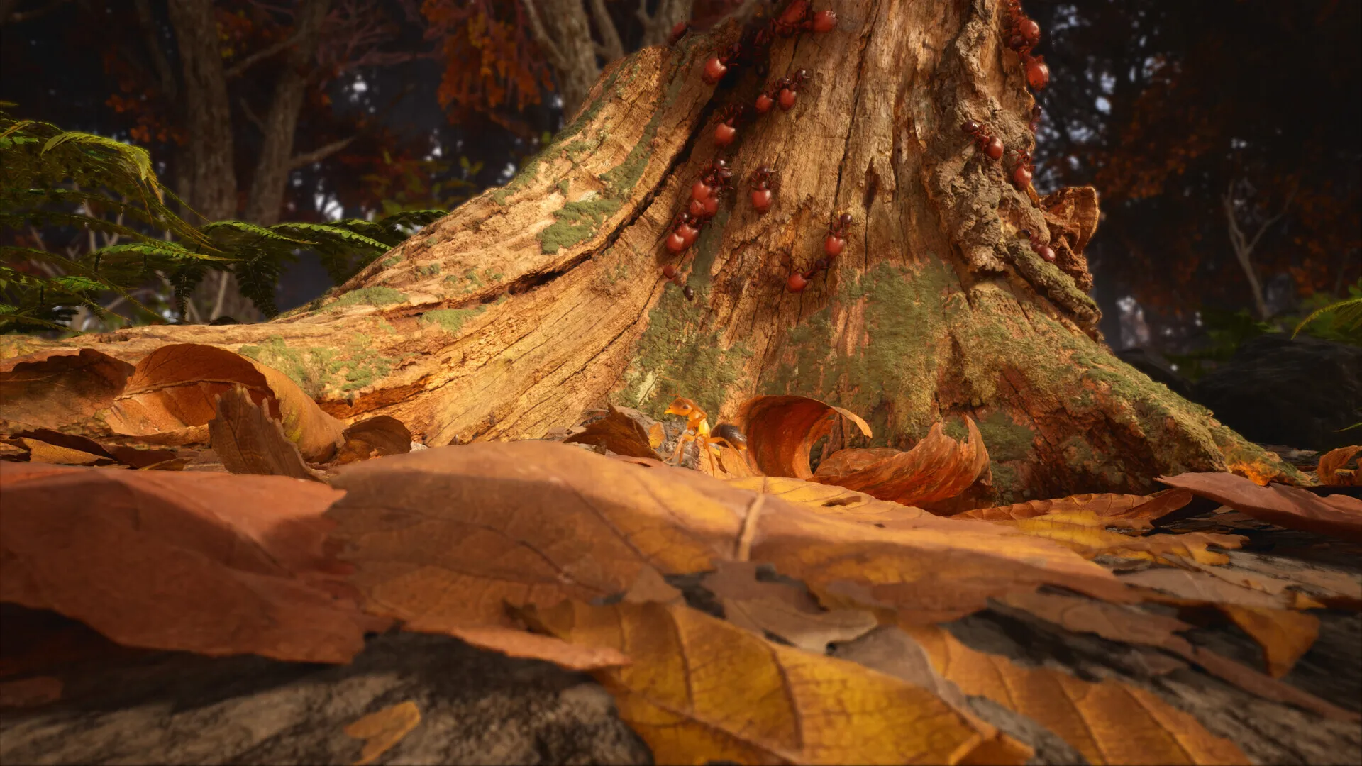 Ss f3f1cbfc48373cb82f08e3a1ccbc8eba844c1a53 1920x1080