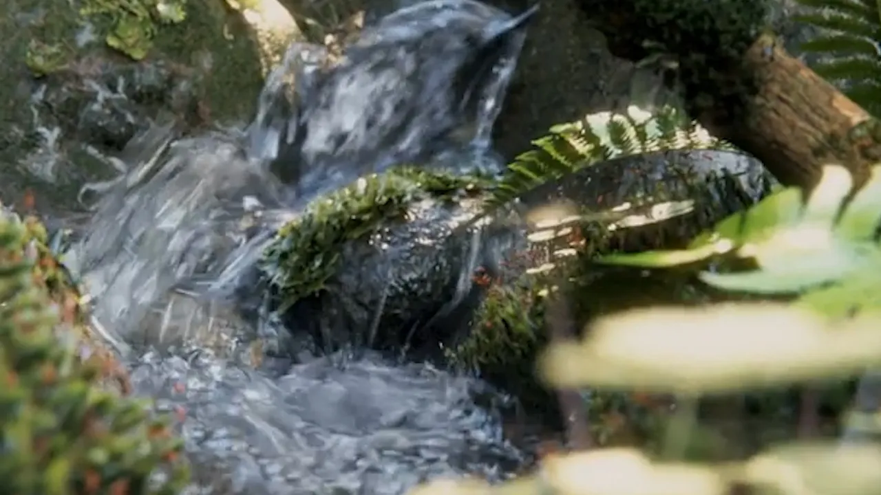 Final forest creek fluid sim reel tutorial link in comments 00 00 00 13 Still003 2023 06 30 112138 ylni