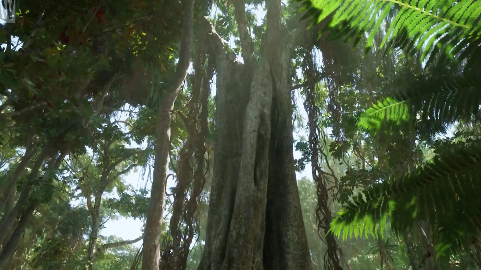 MAWI Tropical Rainforest Unreal Engine 5 2 Daytime Preview unrealengine UE5 gamedev 00 00 22 58 Still001
