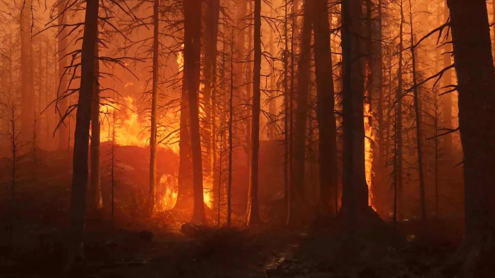 MAWI Burned Dead Forest Unreal Engine 5 2 Roaming The Inferno unrealengine UE5 gamedev 00 00 34 04 Still002 2023 05 25 121245 hovx