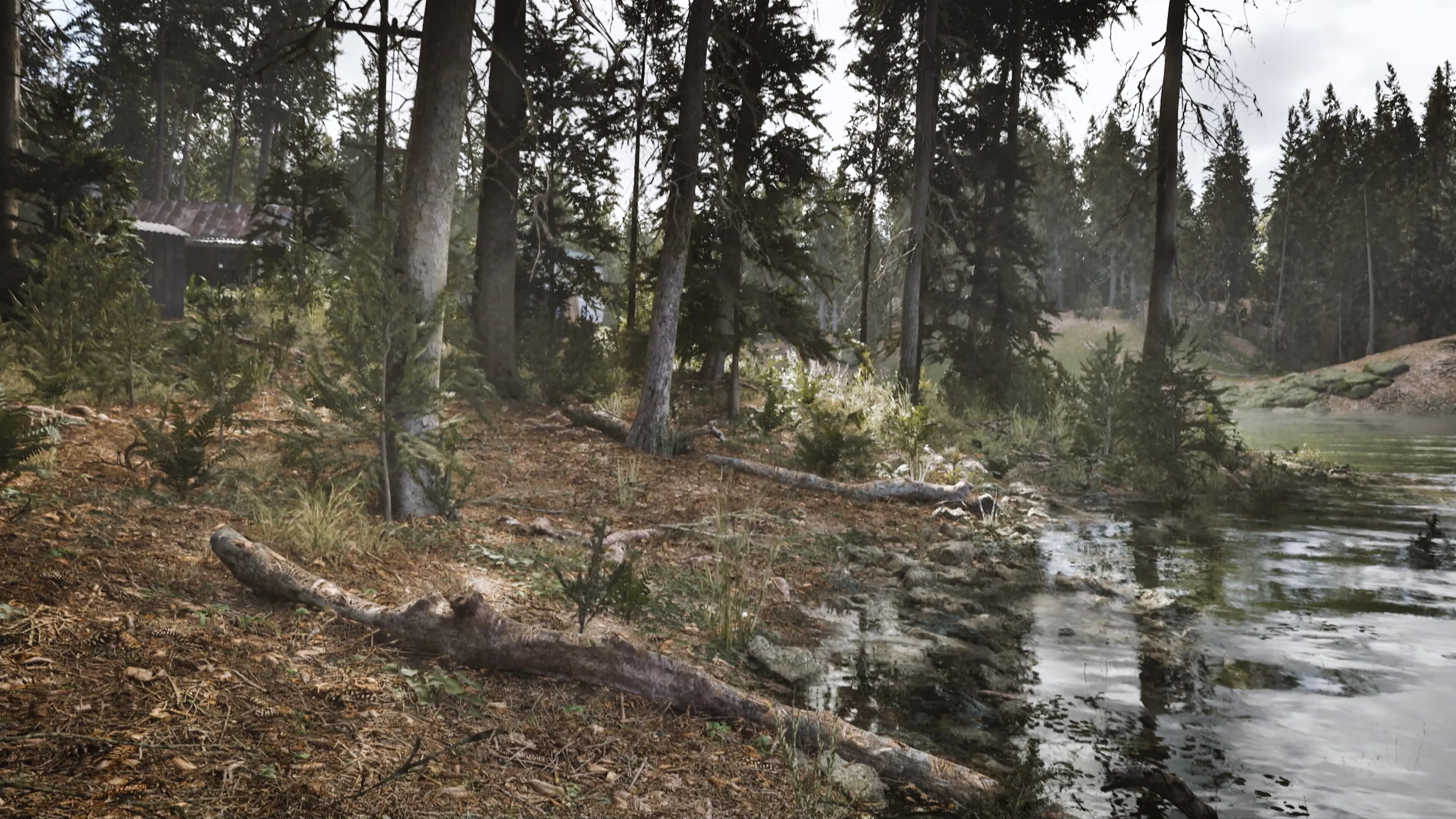 Pasquale scionti cablast3