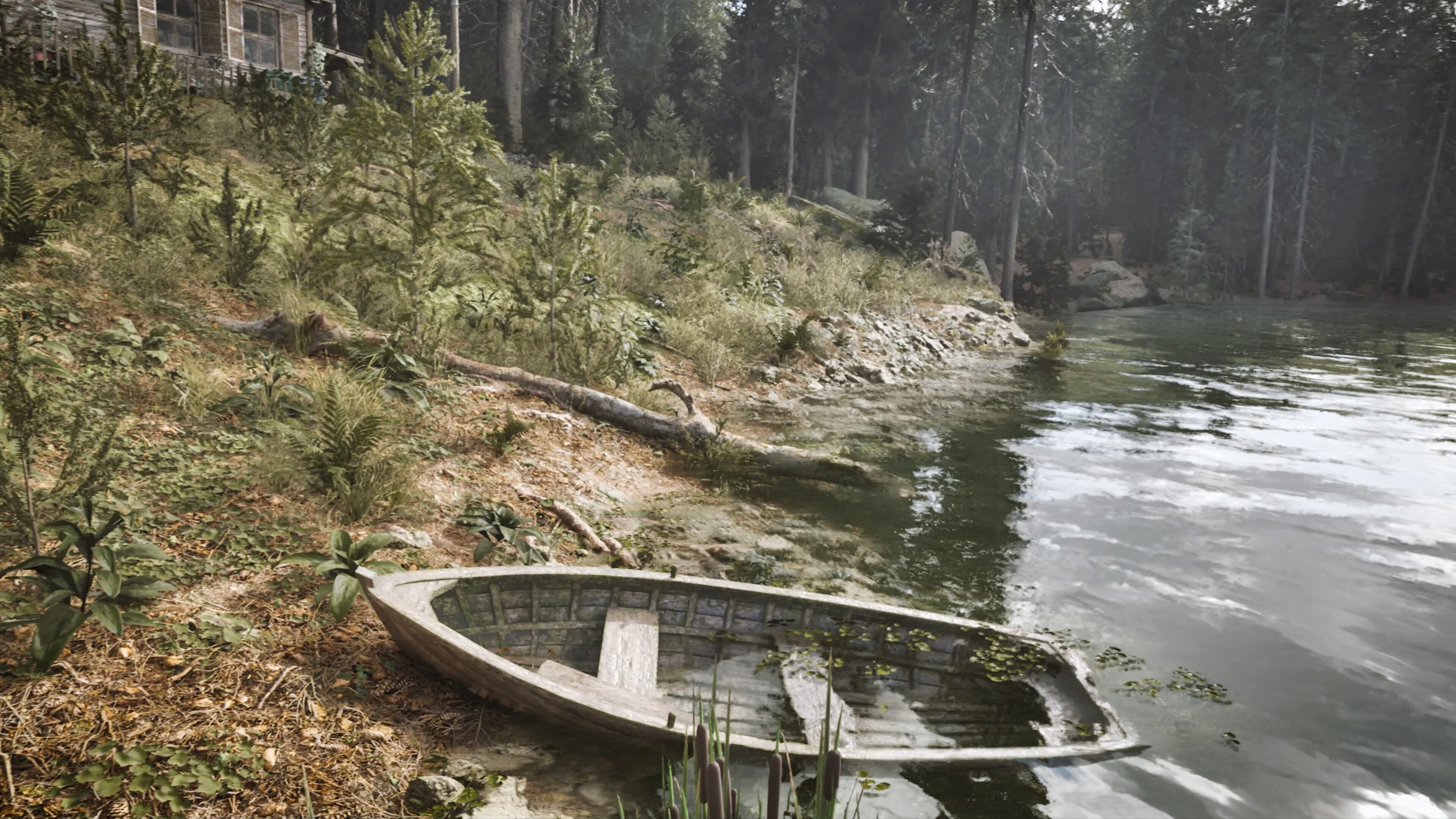 Pasquale scionti cablast5 1