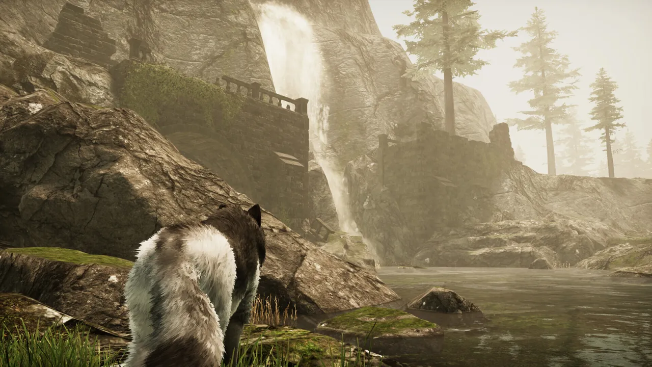 An Indie Developer Is Creating an Open-World Game Where You Play as a Wolf
