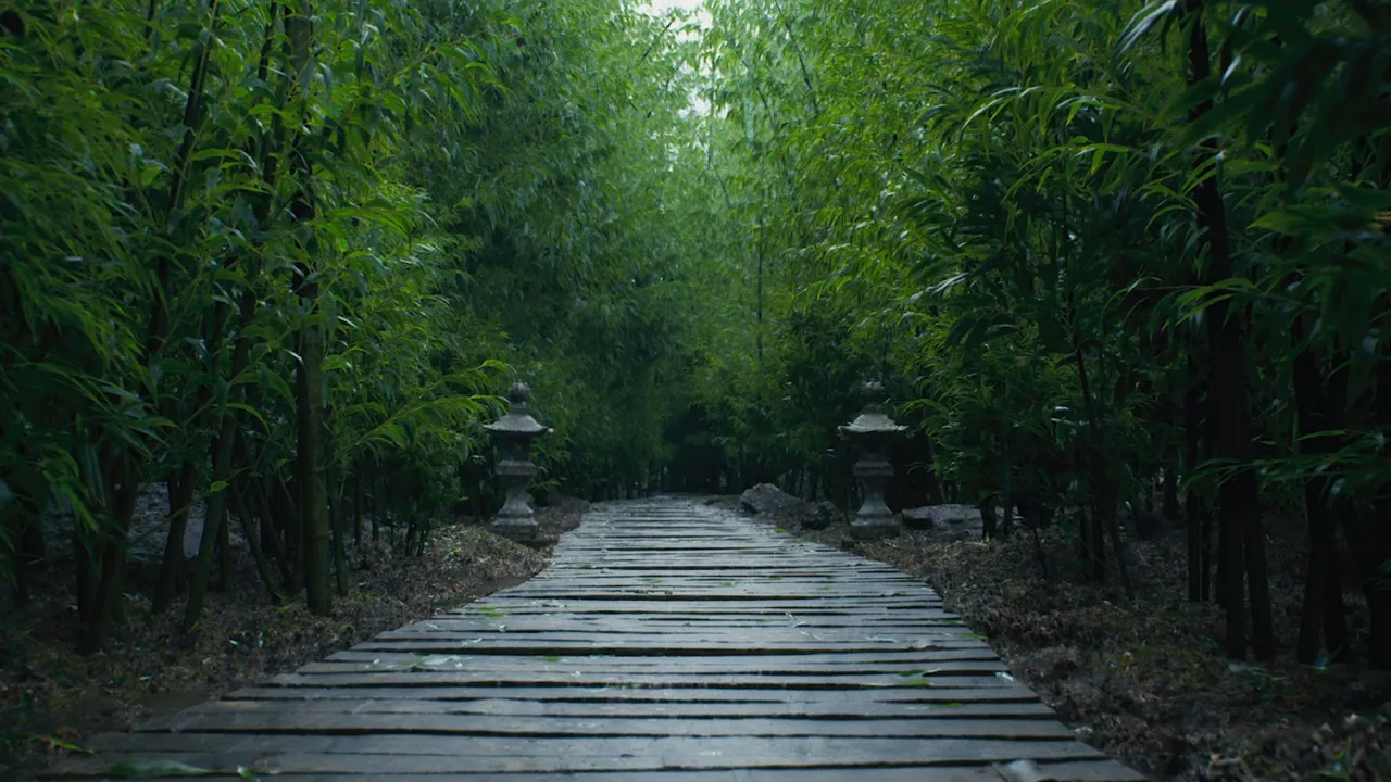 Bamboo Grove in the Rain: A Captivating 3D Environment Scene in Unreal Engine 5