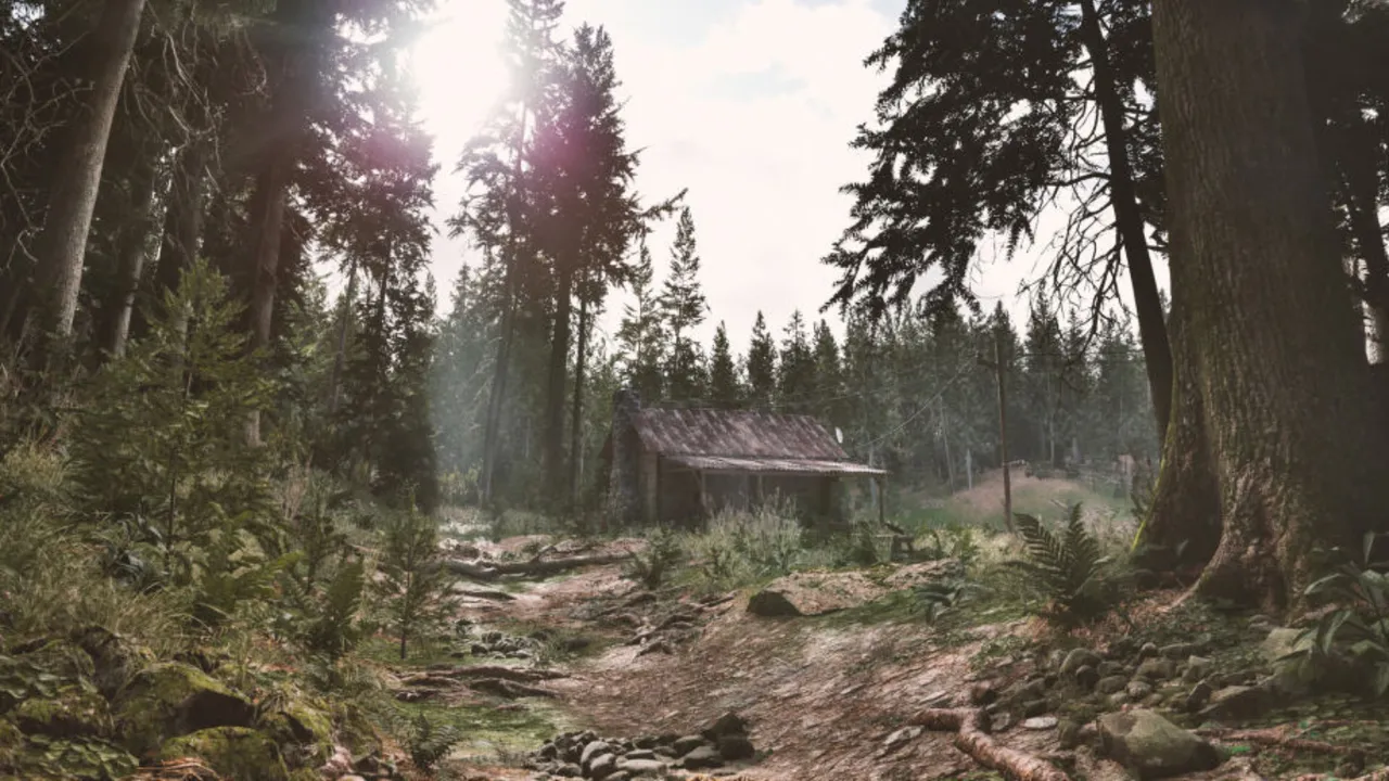 A truly realistic forest in Unreal Engine 5