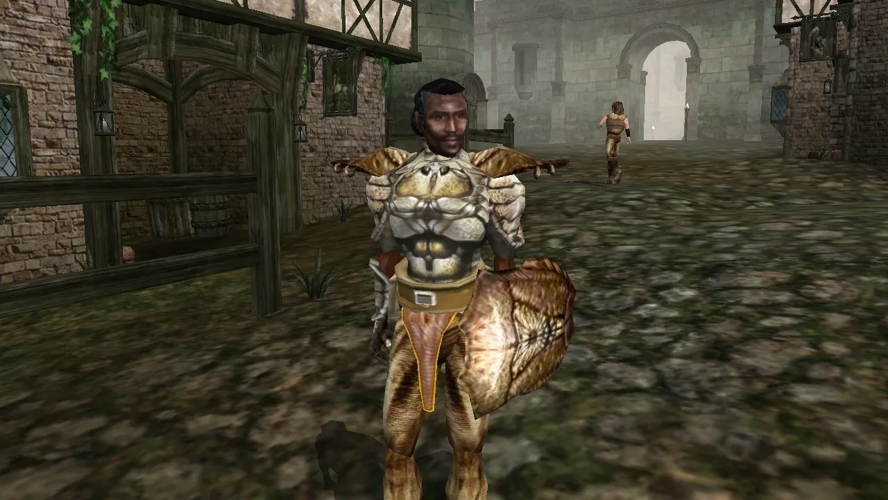 Former Bethesda veteran casts doubt on Morrowind remake, suggests new games in the Elder Scrolls universe instead